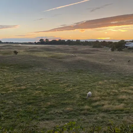 Westduinen 度假居 奥德多普